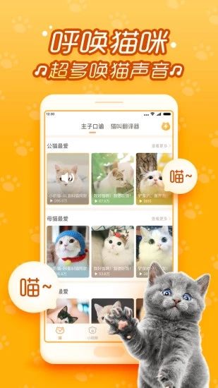 逗猫咪官方手机版app下载图2: