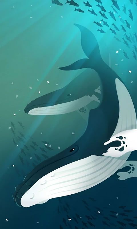 深海水族馆1.7.9免费钻石安卓中文版游戏下载图3: