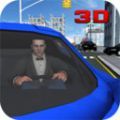 运输燃料3D模拟器游戏