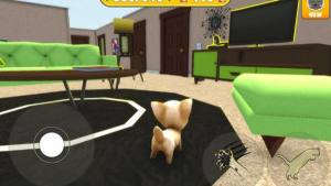 猫模拟器独自在家游戏图3