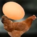 屌德斯解说母鸡护蛋模拟器游戏最新版安卓下载 v1.0