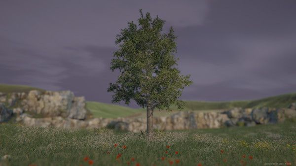 大树模拟器游戏官方网站（tree simulator 2020）图3:
