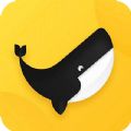 芝麻鲸选2.0.3社区团购模式平台下载