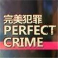 Perfect Crime游戏手机版（附攻略）