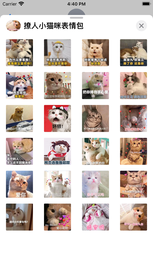 撩人小猫咪表情包app手机免费版图2: