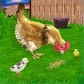 母鸡模拟器游戏