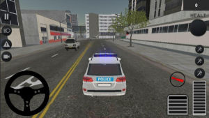 警察驾驶培训模拟器游戏中文最新版图片2