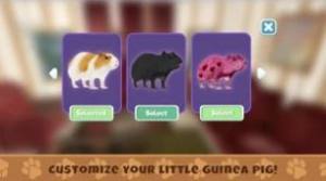 养豚鼠进化模拟器游戏图3