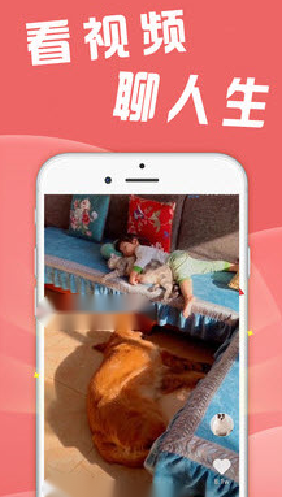 妲己吧app最新最新蓝奏云下载官方版截图3: