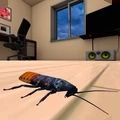 蟑螂小強模擬器游戲