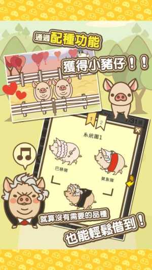 养猪场MIX游戏图2