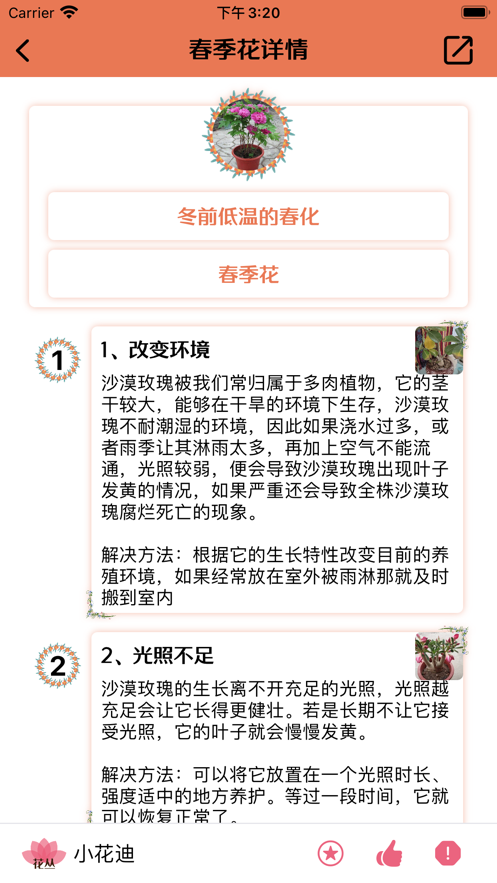 广州花丛社App安卓版图3: