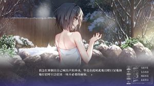 steam雪中花游戏手机版最新版图片2