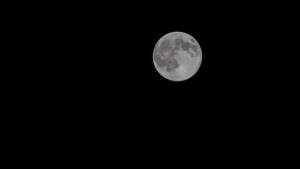 月亮的圆缺变化是由月球的自转还是公转引起的蚂蚁庄园12.18日答案图片3