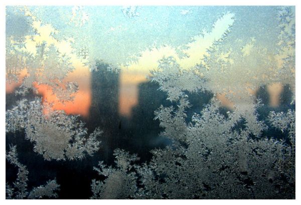 冰花一般结在玻璃窗里面还是外面 冰花一般结在玻璃窗的哪里蚂蚁庄园[多图]