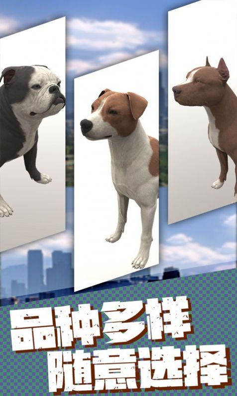 流浪狗生存模拟器游戏安卓版截图2: