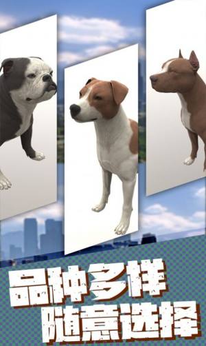 流浪狗生存模拟器游戏安卓版图片2