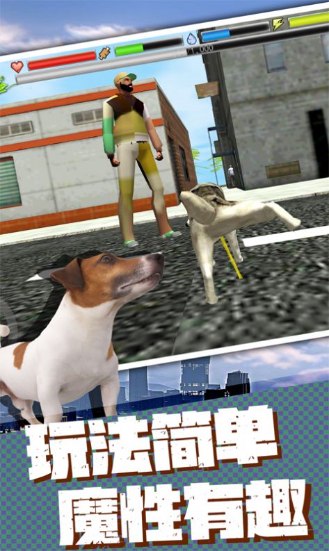 流浪狗生存模拟器游戏安卓版截图4: