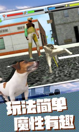 流浪狗生存模拟器游戏图3