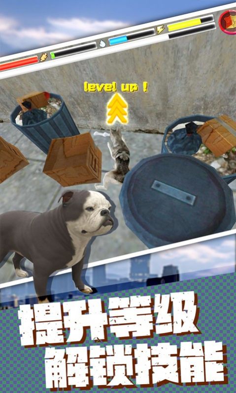 流浪狗生存模拟器游戏安卓版截图3: