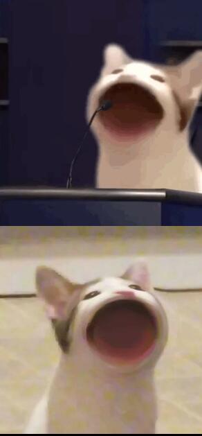 popcat啵嘴猫表情包gif动图图片分享图2