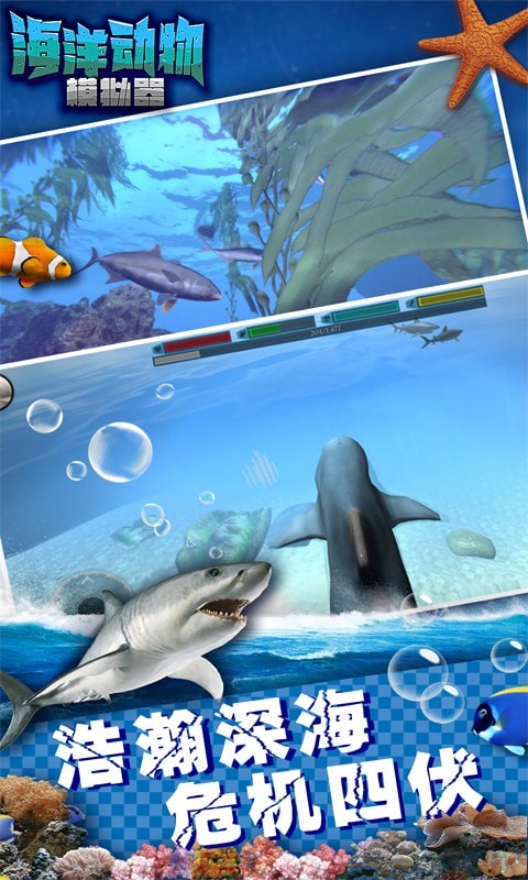 海洋动物模拟器游戏官方安卓版图3: