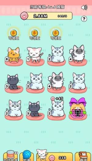 天天撸猫猫红包版安卓游戏图片1