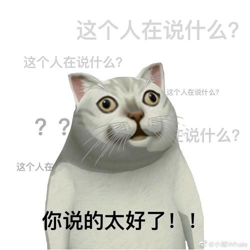 mur猫表情包微信高清大图免费分享图4: