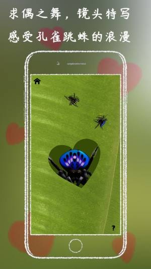 蛛吟游戏安卓最新版图片2