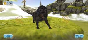 狼模拟器3D安卓版图1