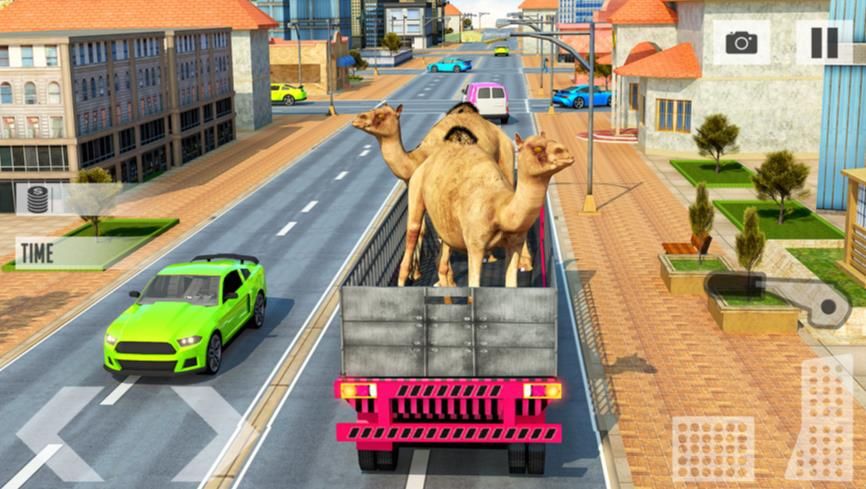 动物交货运输辛游戏中文安卓版图3:
