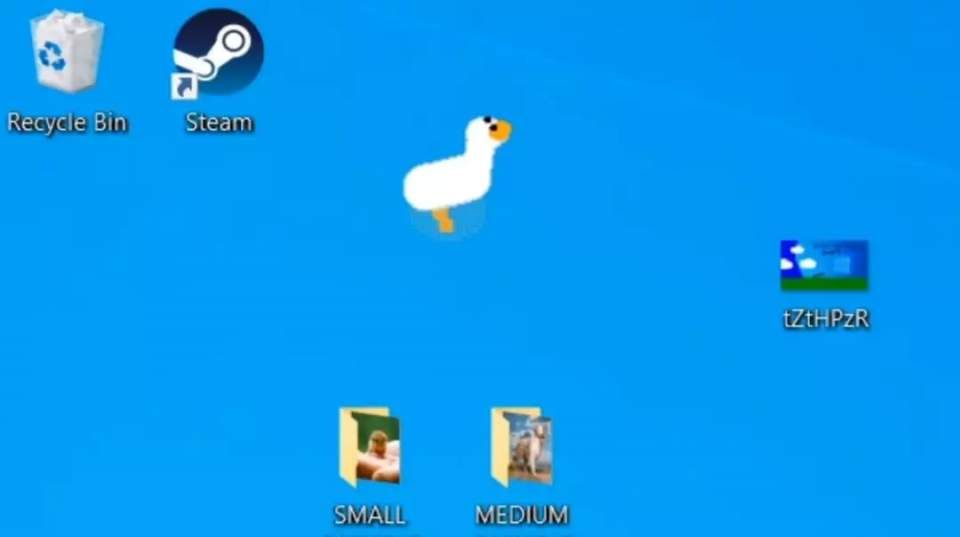 抖音热门小鸭子宠物Desktop Goose小游戏图3: