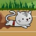 猫之星游戏中文安卓版