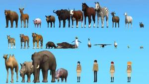 高校模拟器动物世界游戏图2