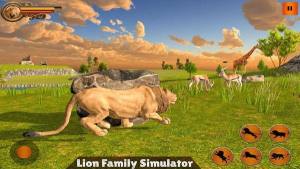 丛林狮群模拟游戏图3