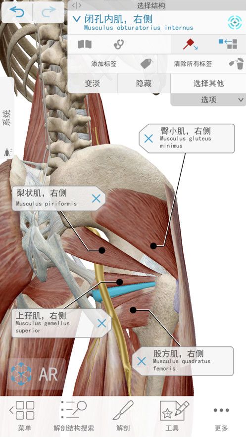 2021人体解剖学图谱APP最新安卓中文版图3: