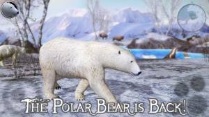 北极熊模拟器2无限经验中文最新版图片2