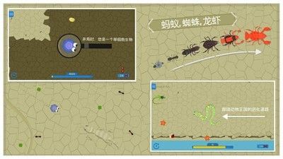 动物进化论游戏中文手机版图4: