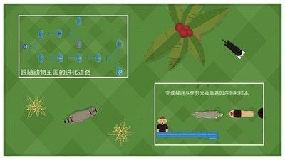 动物进化论游戏中文手机版图2: