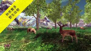 蘑菇猎人模拟器游戏图2