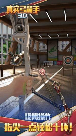 真实弓箭手3D游戏图3