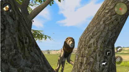 野生狮子生存模拟器中文版最新版图3: