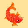 红鱼转分红版app官方下载 v2.0.12