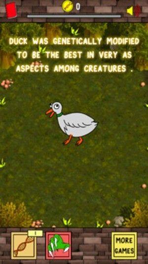 鸭子的日常游戏安卓最新版图片2