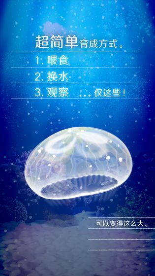 加塞儿水母游戏官方正式版图片2