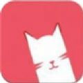 小猫短视频网站app手机版