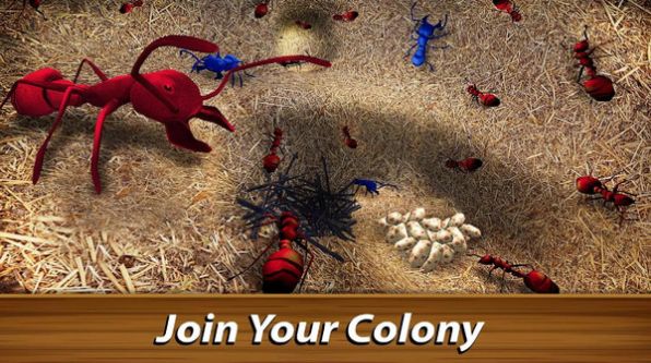 蚂蚁世界大战游戏完整版下载图片2