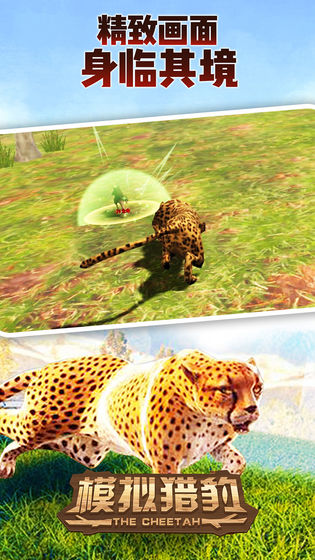 模拟猎豹中文版安装最新版图2: