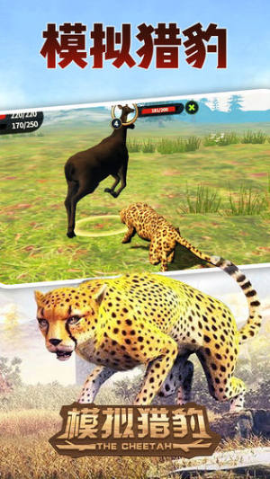 模拟猎豹最新版了中文版图3