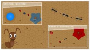 蚂蚁进化世界游戏官方版图片1